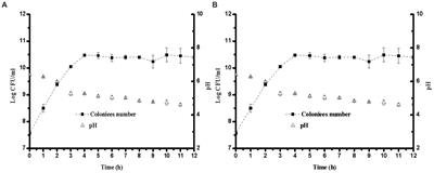 Effect of fermentation using different lactic acid bacteria strains on the nutrient components and mineral bioavailability of soybean yogurt alternative